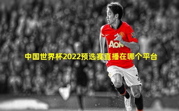 中国世界杯2022预选赛直播在哪个平台