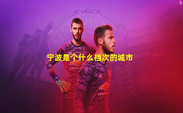 宁波是个什么档次的城市