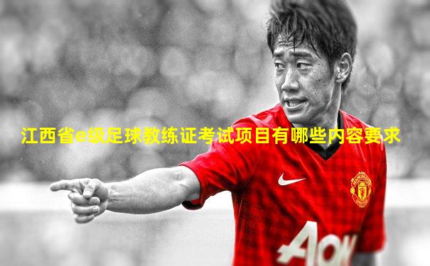 江西省e级足球教练证考试项目有哪些内容要求