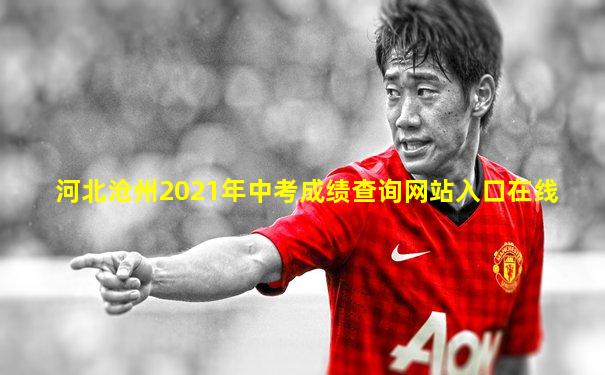 河北沧州2021年中考成绩查询网站入口在线