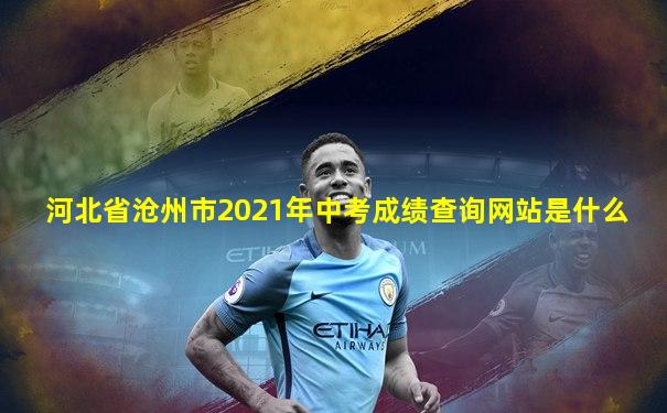 河北省沧州市2021年中考成绩查询网站是什么