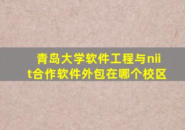 青岛大学软件工程与niit合作软件外包在哪个校区