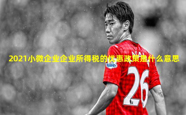 2021小微企业企业所得税的优惠政策是什么意思