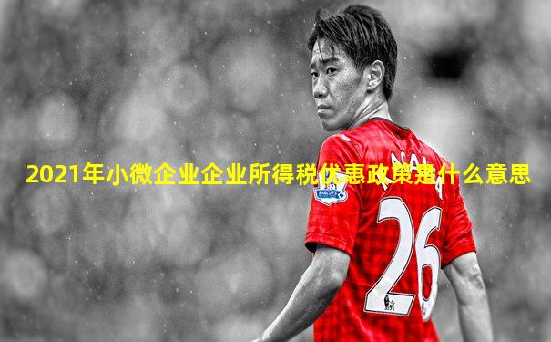 2021年小微企业企业所得税优惠政策是什么意思