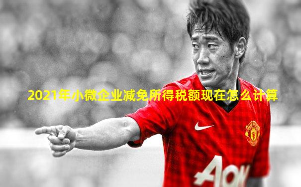 2021年小微企业减免所得税额现在怎么计算