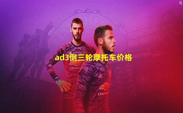ad3倒三轮摩托车价格