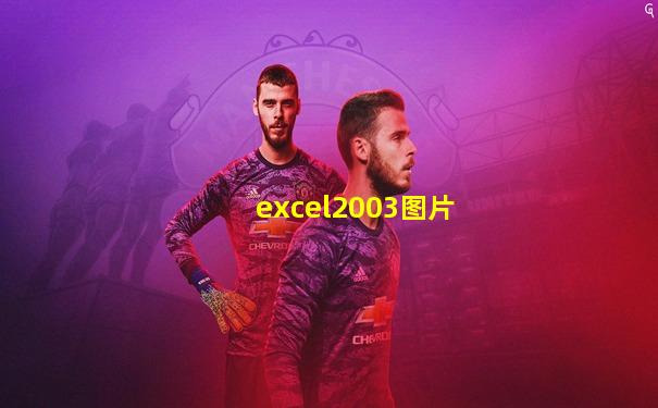 excel2003图片