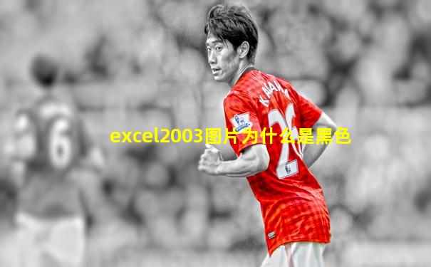 excel2003图片为什么是黑色