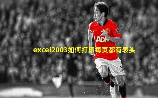 excel2003如何打印每页都有表头