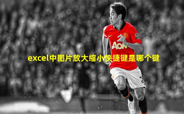 excel中图片放大缩小快捷键是哪个键
