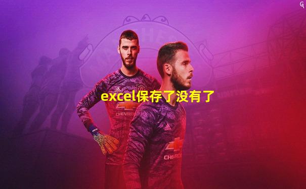 excel保存了没有了