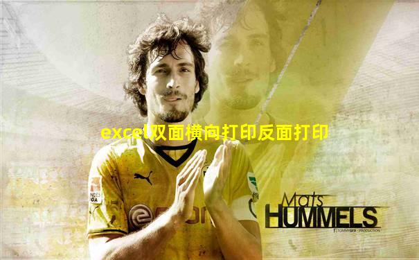 excel双面横向打印反面打印