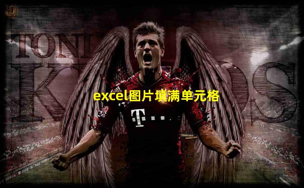 excel图片填满单元格