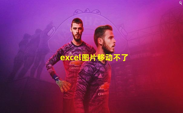 excel图片移动不了