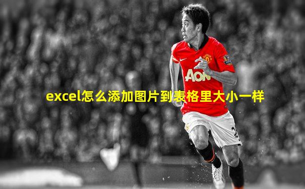 excel怎么添加图片到表格里大小一样