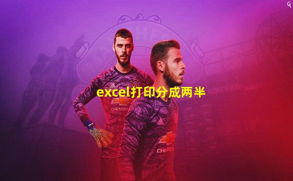 excel打印分成两半
