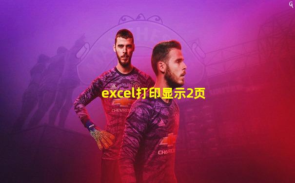excel打印显示2页
