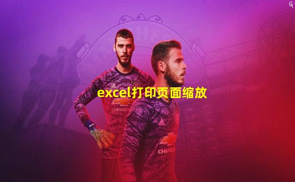 excel打印页面缩放