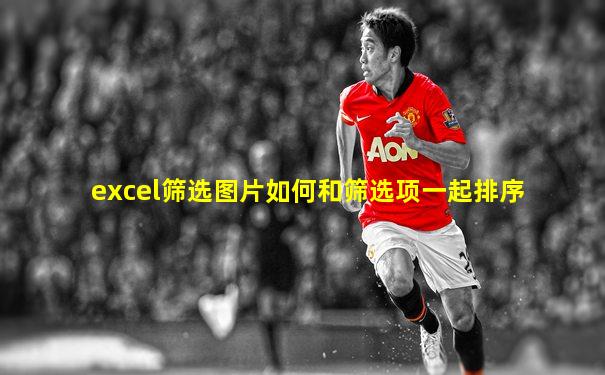 excel筛选图片如何和筛选项一起排序
