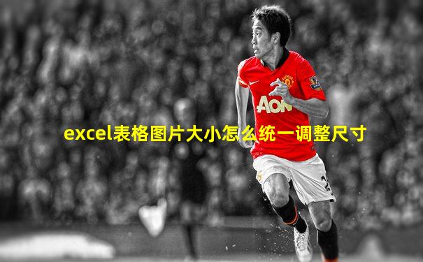 excel表格图片大小怎么统一调整尺寸