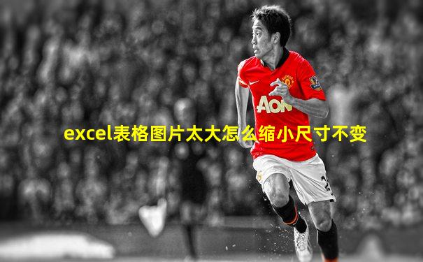 excel表格图片太大怎么缩小尺寸不变