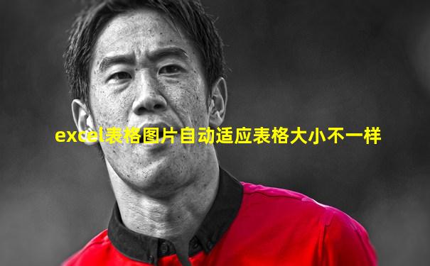 excel表格图片自动适应表格大小不一样