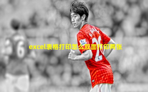 excel表格打印怎么双面打印两张