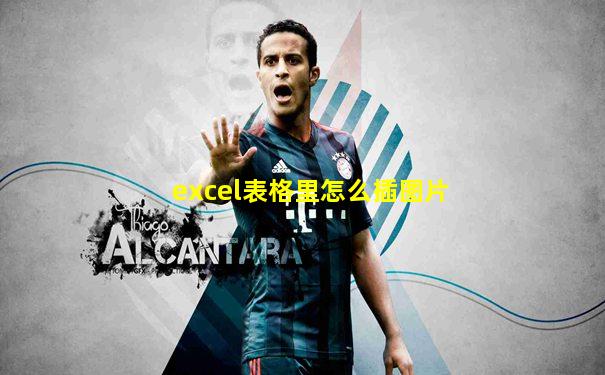 excel表格里怎么插图片