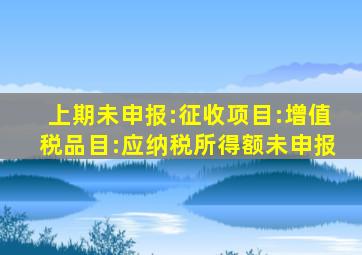 上期未申报:征收项目:增值税品目:应纳税所得额未申报