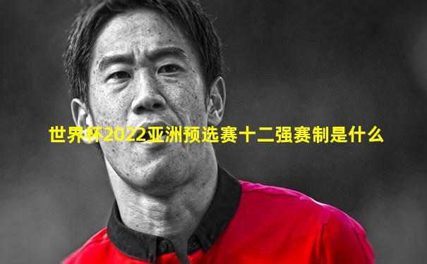 世界杯2022亚洲预选赛十二强赛制是什么