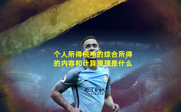 个人所得税中的综合所得的内容和计算原理是什么
