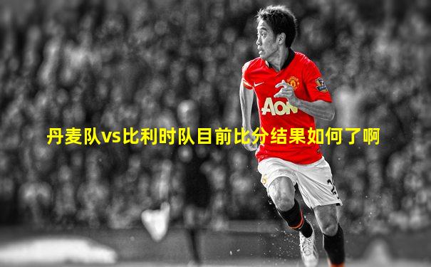 丹麦队vs比利时队目前比分结果如何了啊