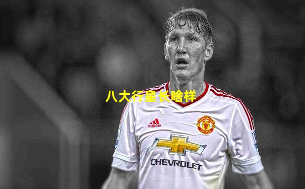 八大行星长啥样