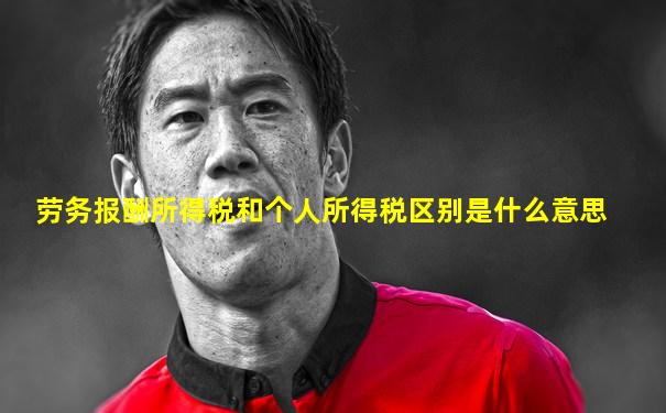 劳务报酬所得税和个人所得税区别是什么意思