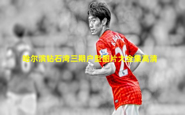 哈尔滨钻石湾三期户型图片大全集高清