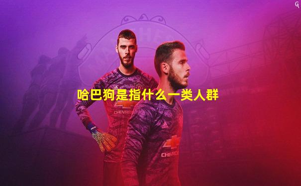 哈巴狗是指什么一类人群