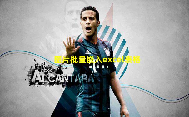 图片批量嵌入excel表格