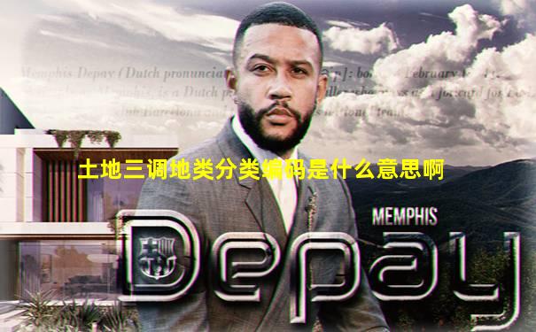 土地三调地类分类编码是什么意思啊
