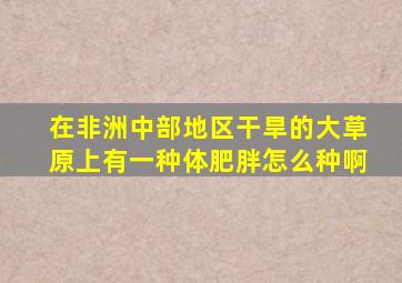 在非洲中部地区干旱的大草原上有一种体肥胖怎么种啊