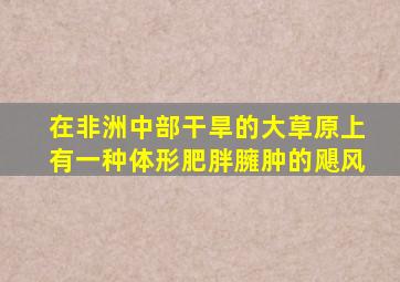 在非洲中部干旱的大草原上有一种体形肥胖臃肿的飓风