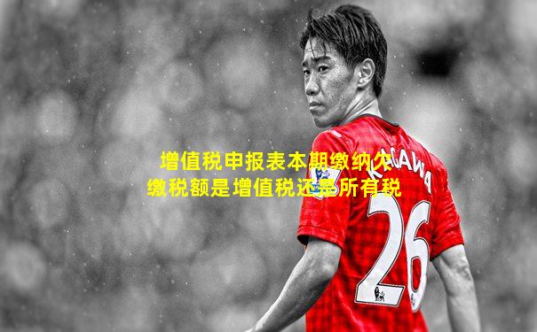 增值税申报表本期缴纳欠缴税额是增值税还是所有税