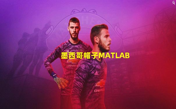墨西哥帽子MATLAB