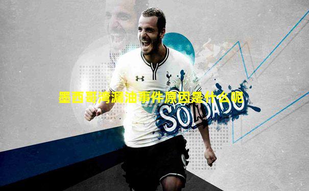 墨西哥湾漏油事件原因是什么呢