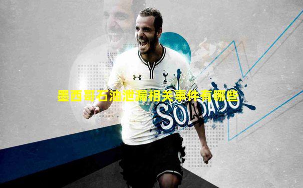 墨西哥石油泄漏相关事件有哪些