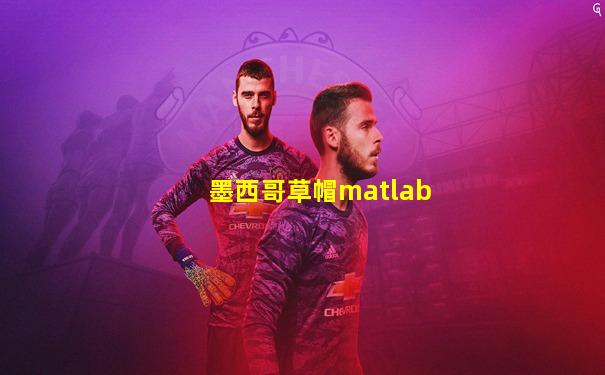 墨西哥草帽matlab