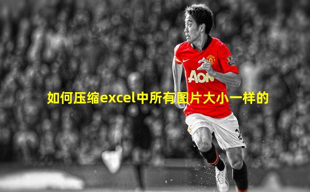 如何压缩excel中所有图片大小一样的