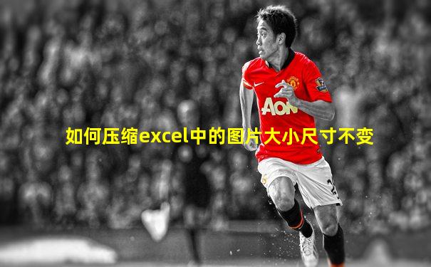 如何压缩excel中的图片大小尺寸不变
