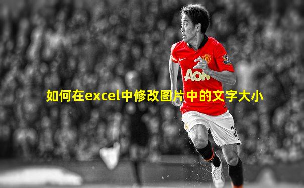 如何在excel中修改图片中的文字大小