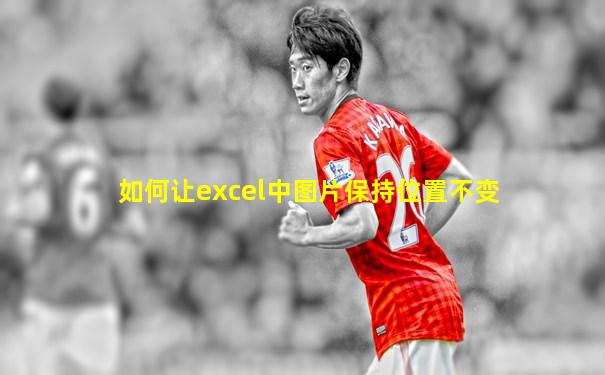 如何让excel中图片保持位置不变