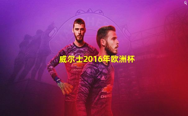 威尔士2016年欧洲杯